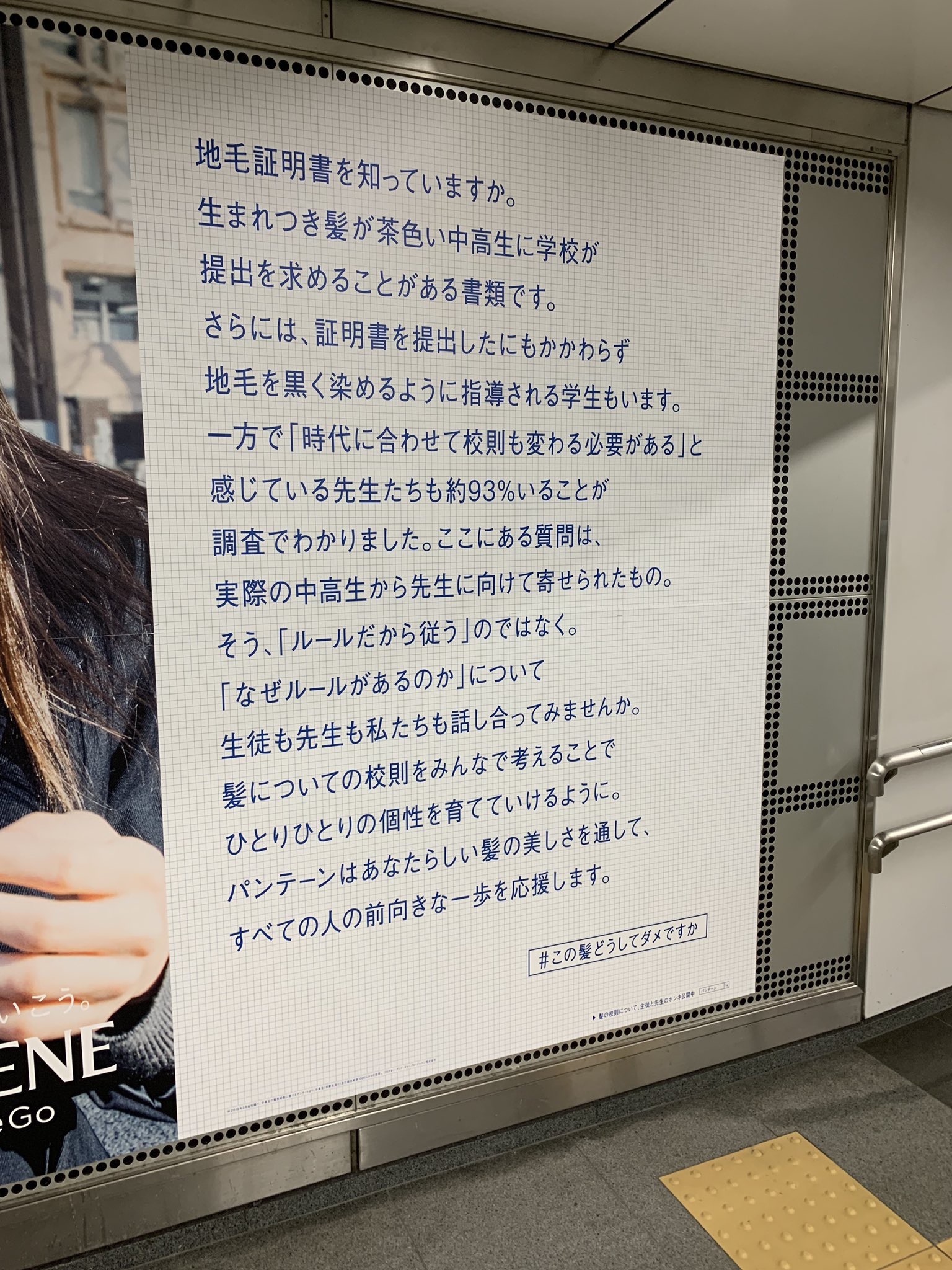 pantene Japan-hairwego-4